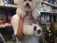 -PETKIT小佩宠物(古北店)