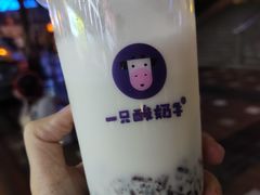 -一只酸奶牛(八一路店)