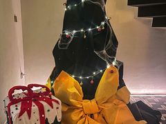 -蜗牛 Snail Bar·咖啡酒馆