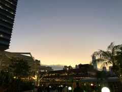 -香港理工大学