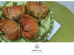 -芸海阁·农家私房菜(沙家浜景区出口店)