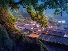 -杨家堂村