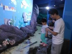 -苏州海洋馆