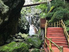 -牛背梁国家森林公园