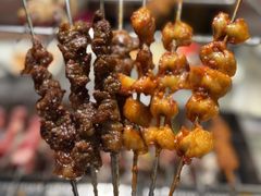 -白玉·朝鲜族烤串(南山店)