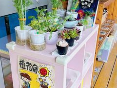 -海富金太阳幼儿园(金杨十街坊东)