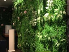 -绿茶餐厅(华联万柳店)