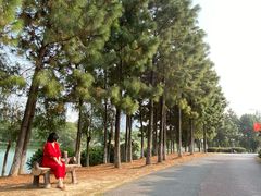 -艾溪湖湿地公园