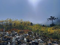 -海螺沟风景区