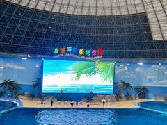 -泉城欧乐堡海洋极地世界