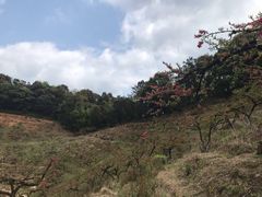 -象头山国家级自然保护区