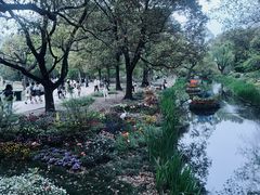 -上海共青森林公园