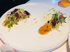 -蝶舍·MAISON PAPILLON