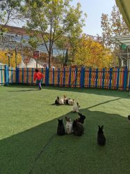 -萌宠亲子动物乐园(槐房万达店)