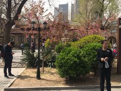 -静园(和平区)