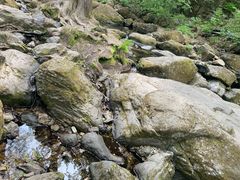 -香炉山国家森林公园