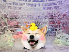 -宁波冰雪大世界(北仑区)