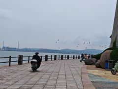 -悦海公园