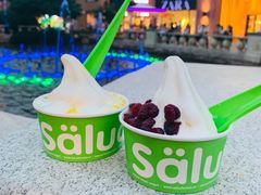 -Salud撒露欧洲冻酸奶(蓝色港湾店)