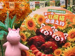 -常州淹城野生动物世界