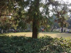 -南通博物苑-崇川人民公园