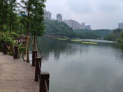 -重庆彩云湖湿地公园
