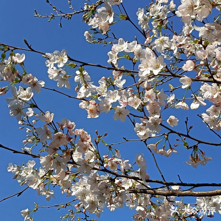 趁着蓝天去就对了