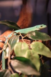 -Zoolung Zoolung动物主题公园(海信广场店)