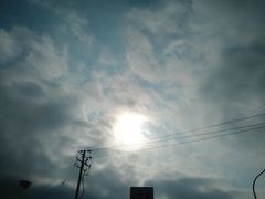 -傻二炒货龙虾(李沧旗舰店)