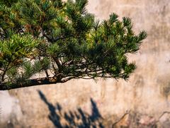 -宁波市保国寺古建筑博物馆