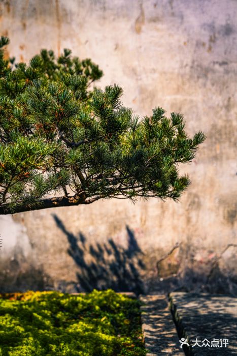 宁波市保国寺古建筑博物馆图片