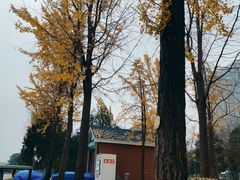 -泉城广场
