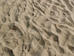 -碧海金沙