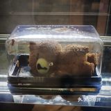 喝完咖啡默默带走了杯子[调皮]