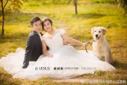 点击看大图 -维纳斯婚纱摄影(鞍山店)