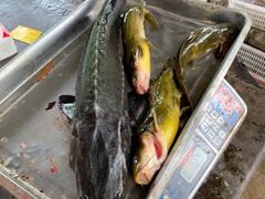 -姥家大锅台水库渔家