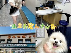 -美联众合爱康动物医院•复杂内科•肿瘤科•牙科•腔镜诊疗中心