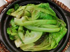 啫啫生菜煲-东鑫记港式茶餐厅(南京东路店)