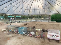 -前小桔亲子创意农场·草莓采摘·露营烧烤