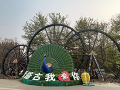 -呀路古热带植物园