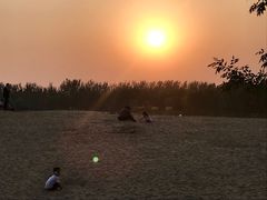 -东郊湿地公园