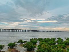 -宝安西湾红树林湿地公园