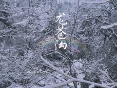 -龙苍沟森林公园