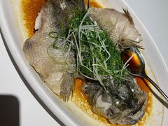 清蒸鲈鱼-梧桐餐厅(泉城路店)