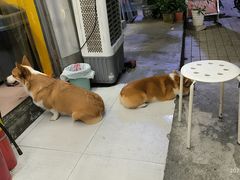 -小梁哥云吞面(黄贝岭店)