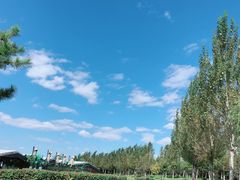 -莫子山公园