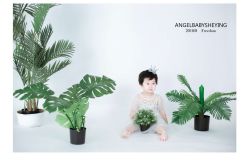 -天使宝宝儿童摄影店