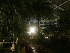 -泰华博悦大酒店