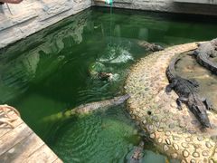 -石家庄市动物园