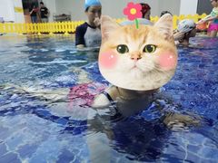 -酷游亲子游泳中心